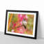 Hummingbird - Picture Frame Graphic Art Print-56632455-56632457