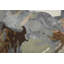 Dafney Floral Area Rug in Tan-1645885939