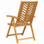 Patio Dining Armchair