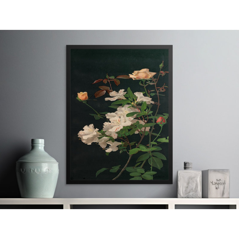 Amata No Frame Print, 6x8