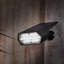 Solar Pathway Spotlight Stake