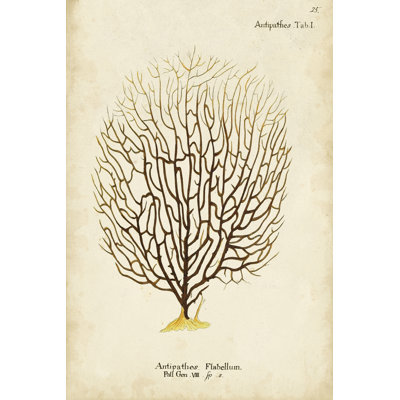Esper Sea Fans III - Painting