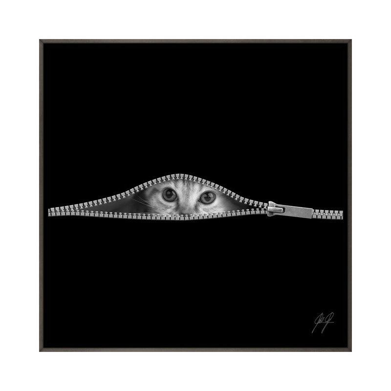 «The Timid» par Kathrin Federer - reproduction de photo, Toile encadrée de bois rustique foncé, Aucun mat