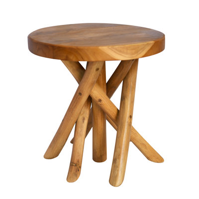 11.8 Tall Teak Wood Plant Stand by Millwood Pines