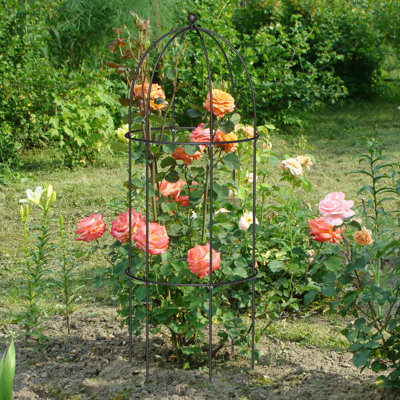 Grow By Plant Support