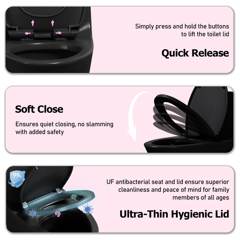 One Piece Toilet Elongated 1.1/1.6 GPF Dual-Flush Elongated ADA Comfort Height, 3 Colors Option, Matte Black
