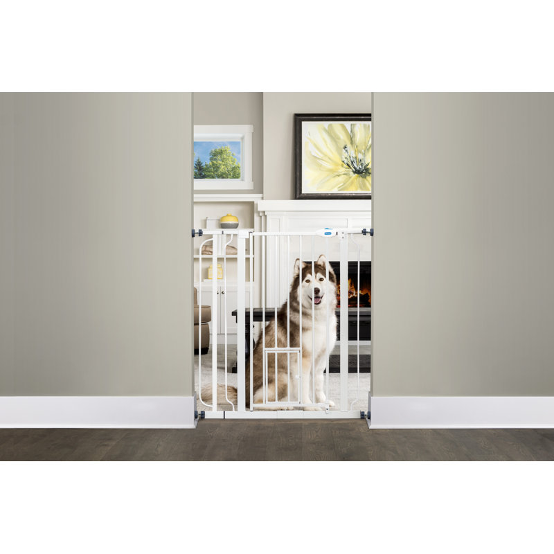 Extra Tall White Metal Pet Gate with Small Door