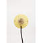 E27 Wall Light-1972014594-1972014599