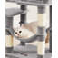 143 cm H Cat Tree / Condo-65929858-100556302