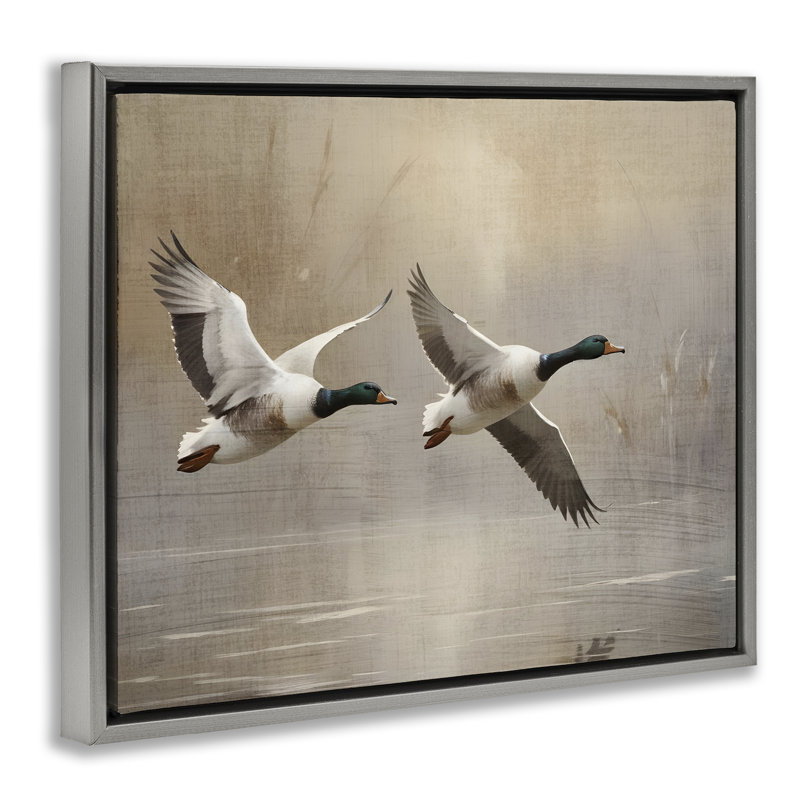 Cadre flottant Mallard Ducks over Pond, design par Susan Arnot, Cadre flottant gris lustré, H 17 po x l 21 po