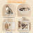 Multiple Level Cat Tree with Scratching Posts-730033170