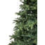 Carolina Fraser Artificial Christmas Tree Clear Lights-1743936526