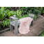 Dacono Solid Wood Outdoor Bench