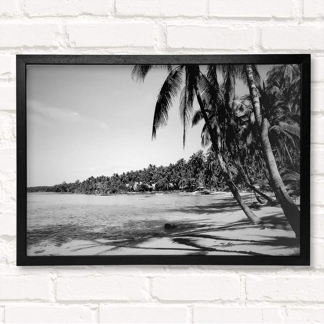 Beach Palms B N W