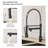 FLG Pull Down Kitchen Faucet-86384372