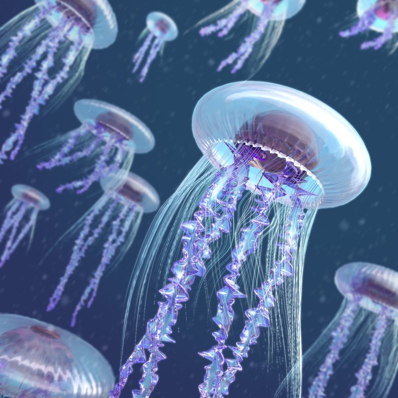 Jellyfish Colorful Abstract Background by Vuadeep - Wrapped Canvas Print, 91cm H x 91cm W x 3.8cm D