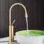 Laurier Waterfall Tap