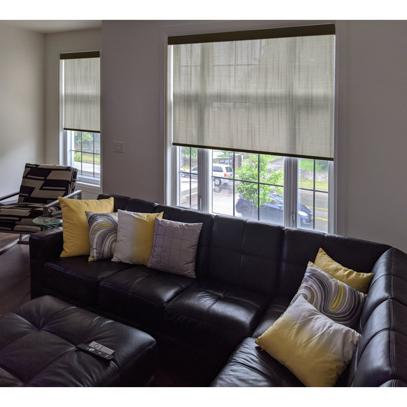 Rideau roulant diaphane brun foncé, Brun, 36"W x 48"L