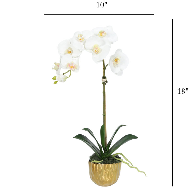 Faux orchidée dans un vase doré, Blanc, Or