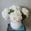 Hortensia blanc 18 po Real Touch-91319597-91319601