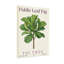 Plantes et fleurs - motif de figuier-1151101737