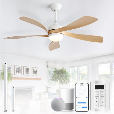 Damecia 5 - Blade Smart Standard Ceiling Fan with Remote Control and LED Light