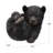 Baby Black Bear Lying