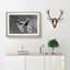 Two Butterflies - Picture Frame Painting Print-55615097-55615095