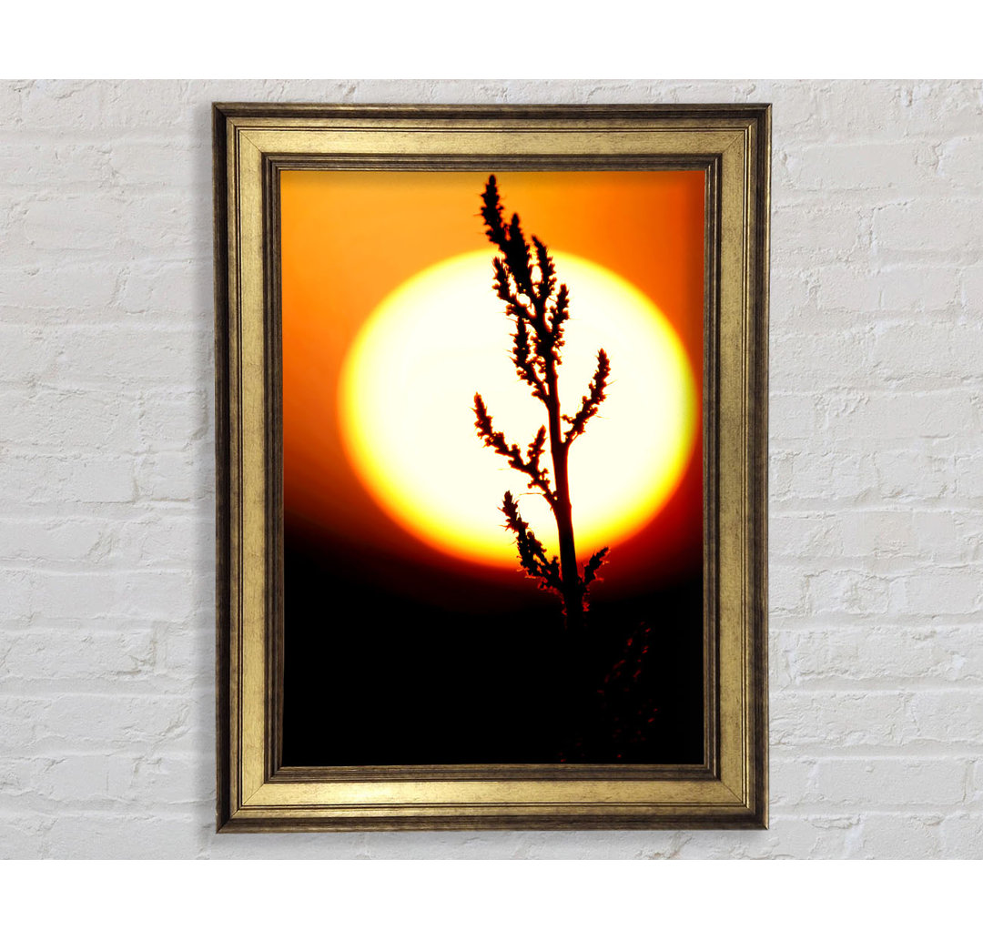 Stunning Sun Glow Orange - Einzelne Bilderrahmen Kunstdrucke