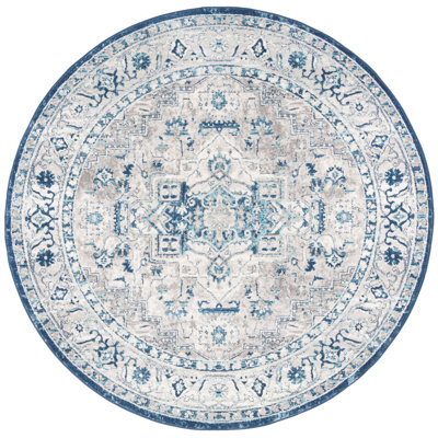 Aurich Light Gray/Blue Oriental Rug