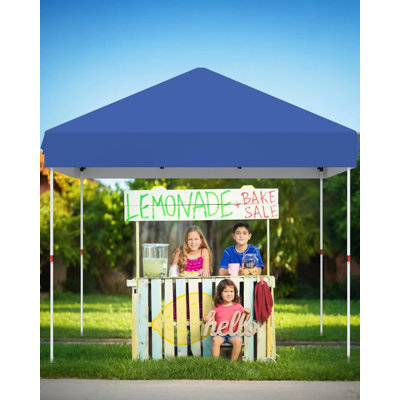 120 Ft. W x 120 Ft. D Metal Party Tent