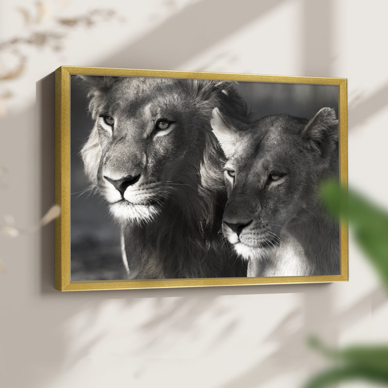 Lion et lionne - reproduction encadrée - réarmable, H 8 po x l 10 po, Doré