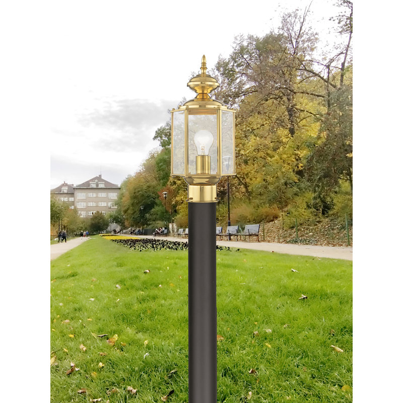 Amberdawn Lantern Head