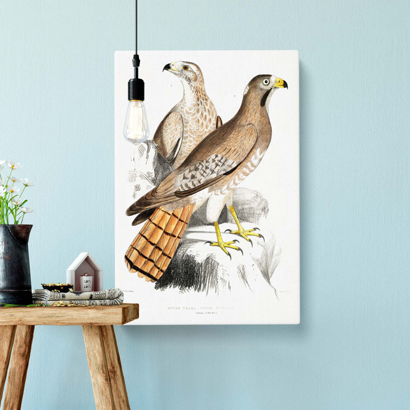 Two Eagles by John Edward - Wrapped Canvas, 76cm H x 50cm W x 3cm D