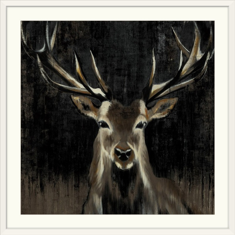 «Hafsa Young Buck» par Liz Jardine, reproduction d'art, H 24 po x l 24 po x P 1 po, Impression encadrée, Blanc