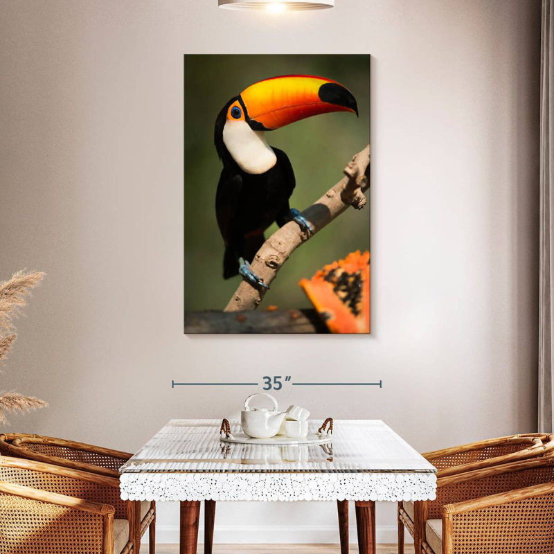 Brampt Adorable Toucan, 36" H x 24" W