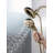 1.75 GPM Rain Dual Shower Head with H2Okinetic Technology