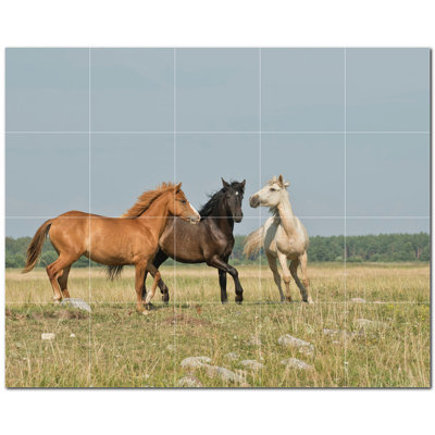 Photo de cheval 12 x 12
