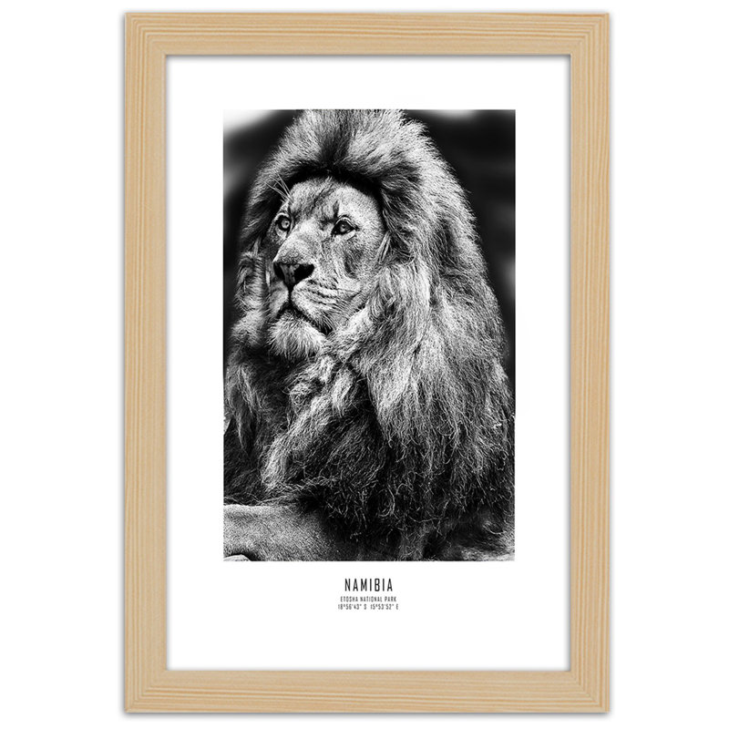African Lions, Animals - Single Picture Frame Print, 90cm H x 60cm W, Light Brown