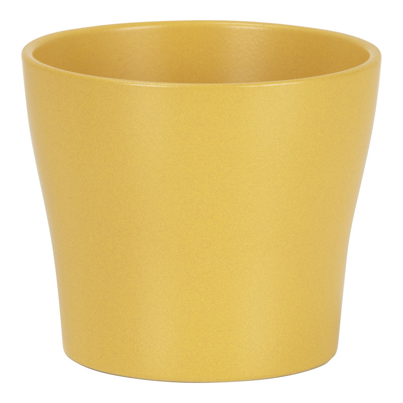 Ceramic Cachepot, Curcuma, 19 H x 21 W x 21 D
