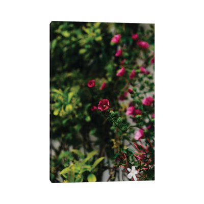 Positano Blooms IV by Bethany Young - Print on Canvas