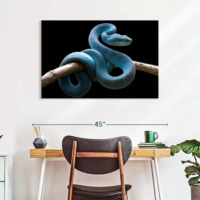 Brampt Blue Viper Snake