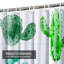 Aquarelle, cactus, plante grasse, botanique, naturel, voeux avec 12 crochets-250197647