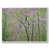 White Floater Framed Canvas
