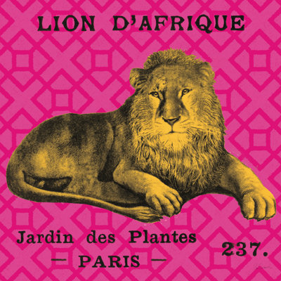 Lion safari vif