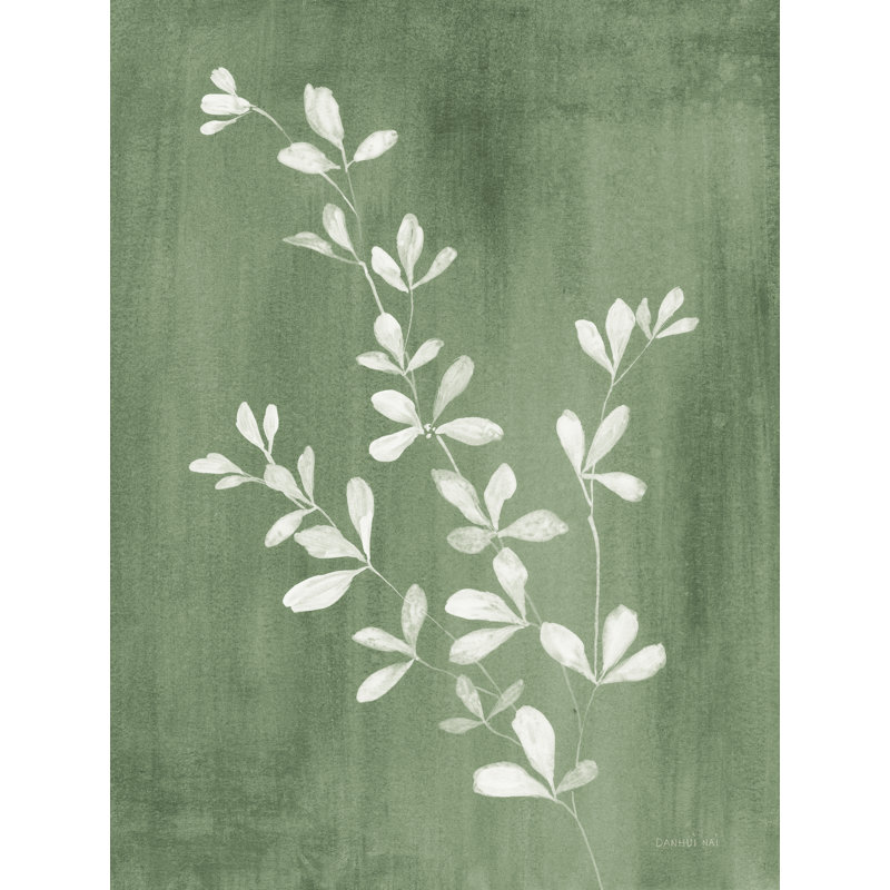 «Imed Simple Nature II Sage On Canvas» par Danhui Nai, H 24 po x l 18 po