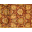 Wool Oriental Area Rug in Gold/Red