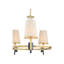 Zuri Chandelier