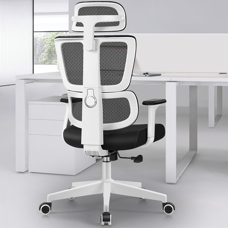 Culbane Ergonomic Mesh Office Chair, White