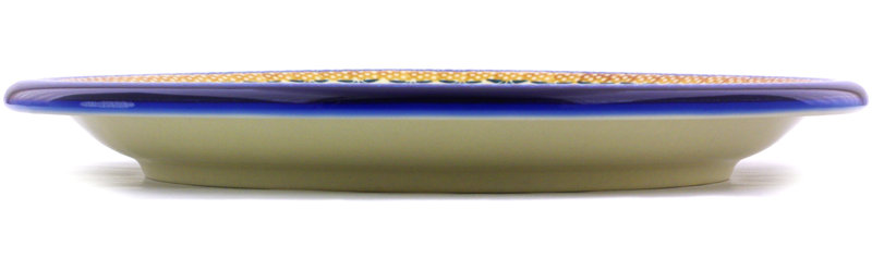 Stoneware Dinner Plate